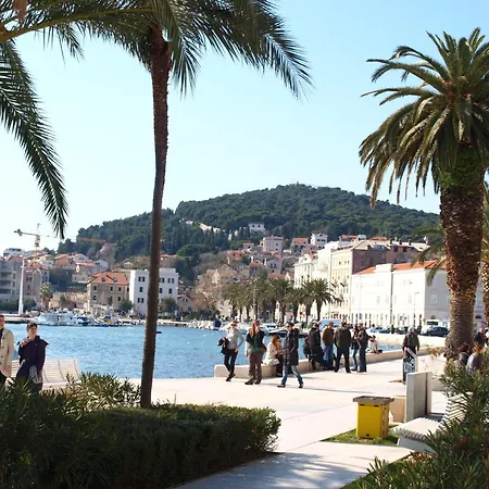 Guest house Damira 3*
