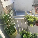 达米拉客房旅馆